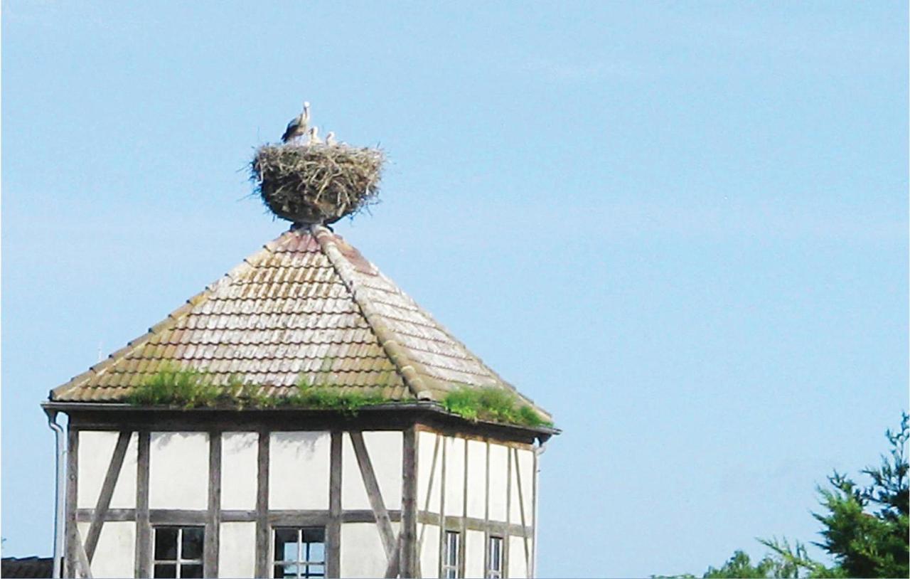 Herrenhaus Luebbenow Exterior photo